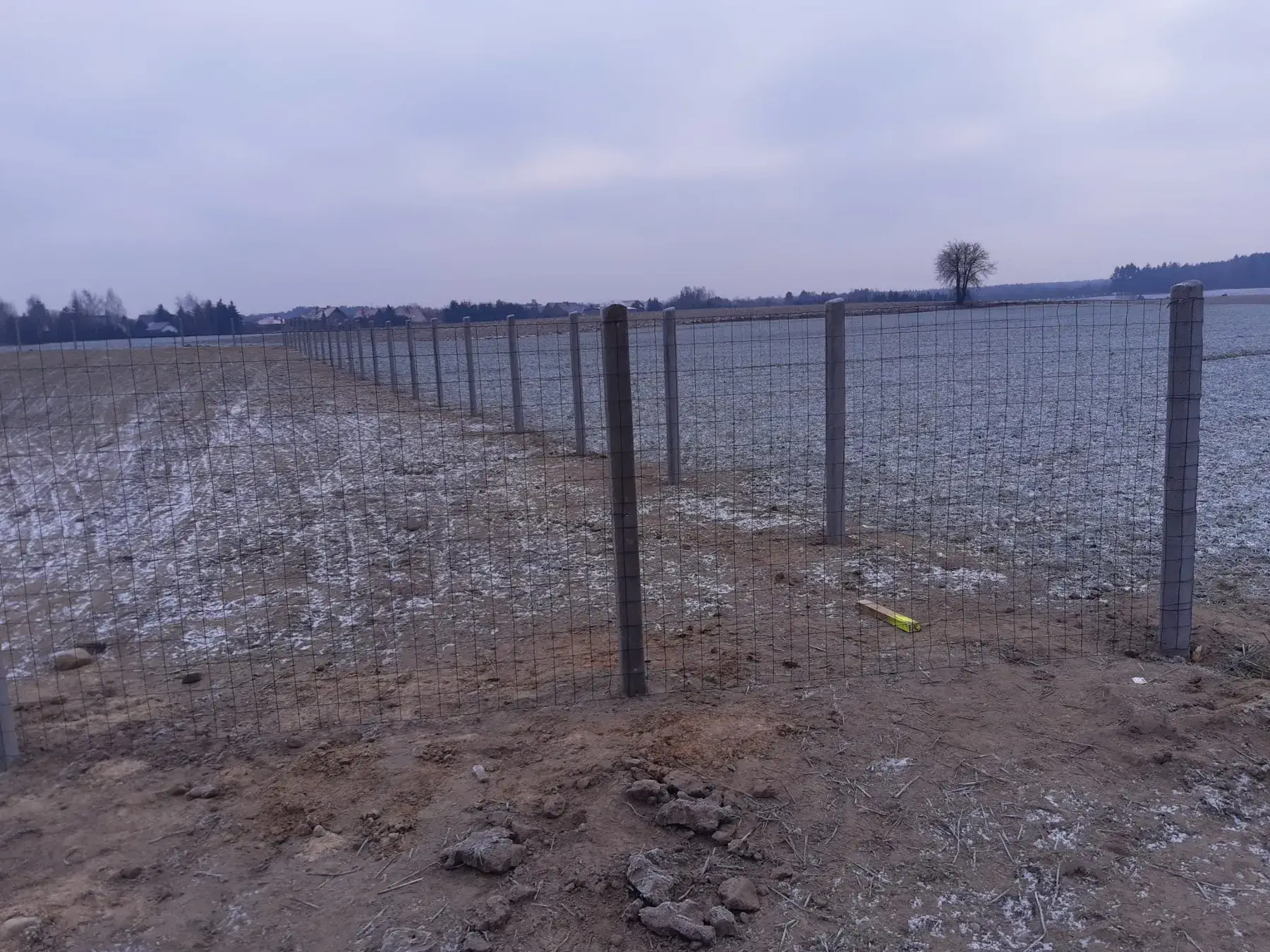 Słupki do&nbsp;siatki leśnej